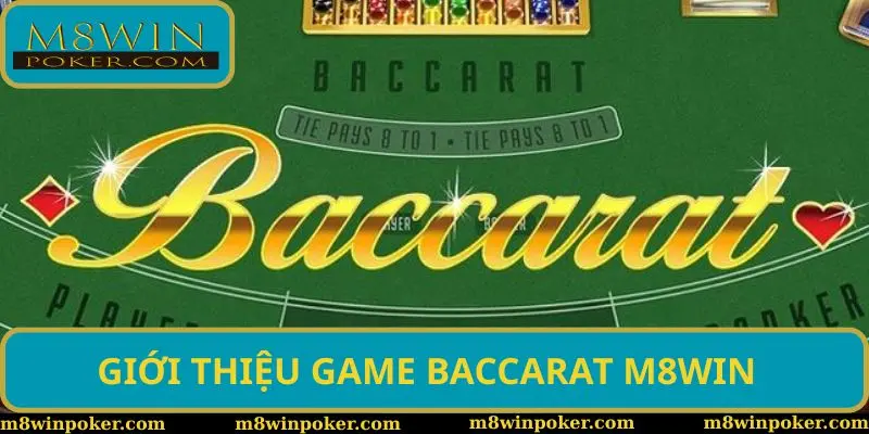 Baccarat M8WIN - Tựa game hấp dẫn được Baccarat M8WIN - Tựa game hấp dẫn được