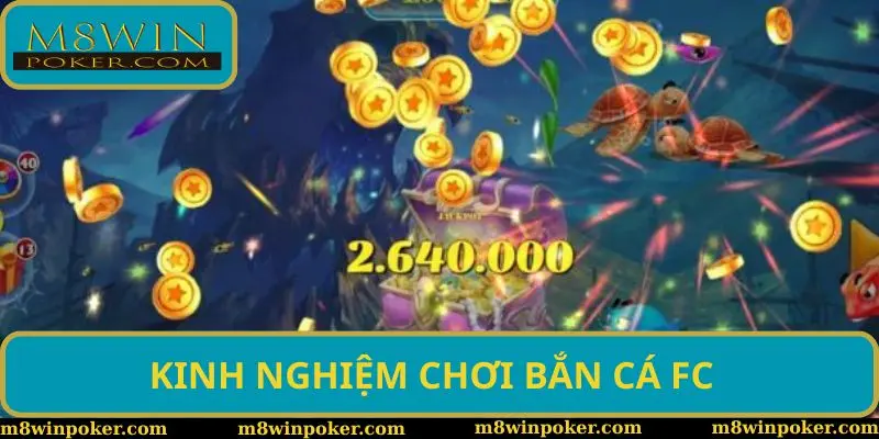 Kinh nghiệm cần chuẩn bị khi tham gia săn cá Kinh nghiệm cần chuẩn bị khi tham gia săn cá